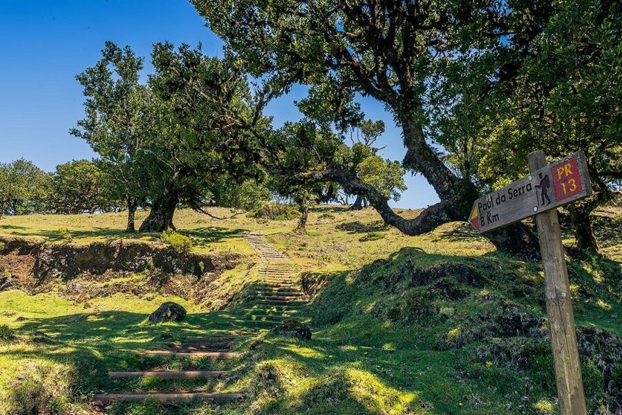 Madeira: Full-Day Porto Moniz Jeep Tour - Fairy Forest, Paúl da Serra Views, and Fanal’s UNESCO Mist