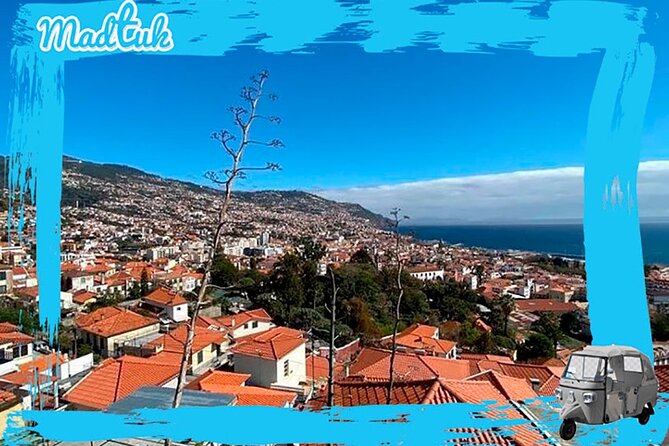 Madeira Funchal City Historical Tuk Tuk Guided Tour by MadTuk - Why a Tuk Tuk Makes Funchal Feel Less Like a Workout