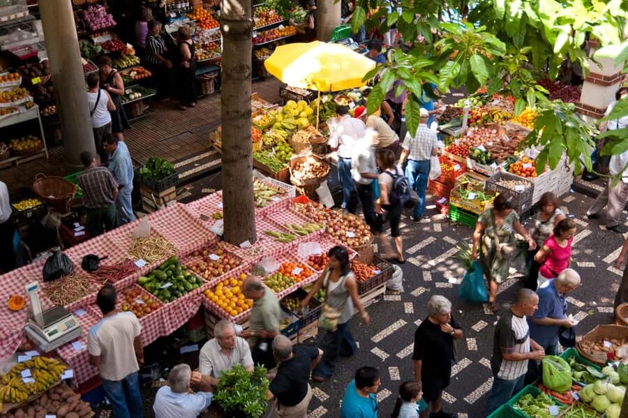 Madeira: Funchal's Eco Private City Tour - Eco-friendly comfort, plus the reality of rules and bags