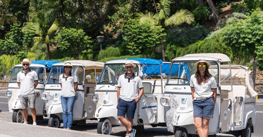 Madeira: Funchal's Eco Private City Tour - The 90-minute flow, from Cathedral to viewpoints