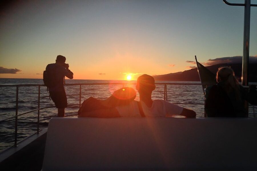 Madeira: Funchal Sunset Tour by Catamaran - Key things that make this tour work