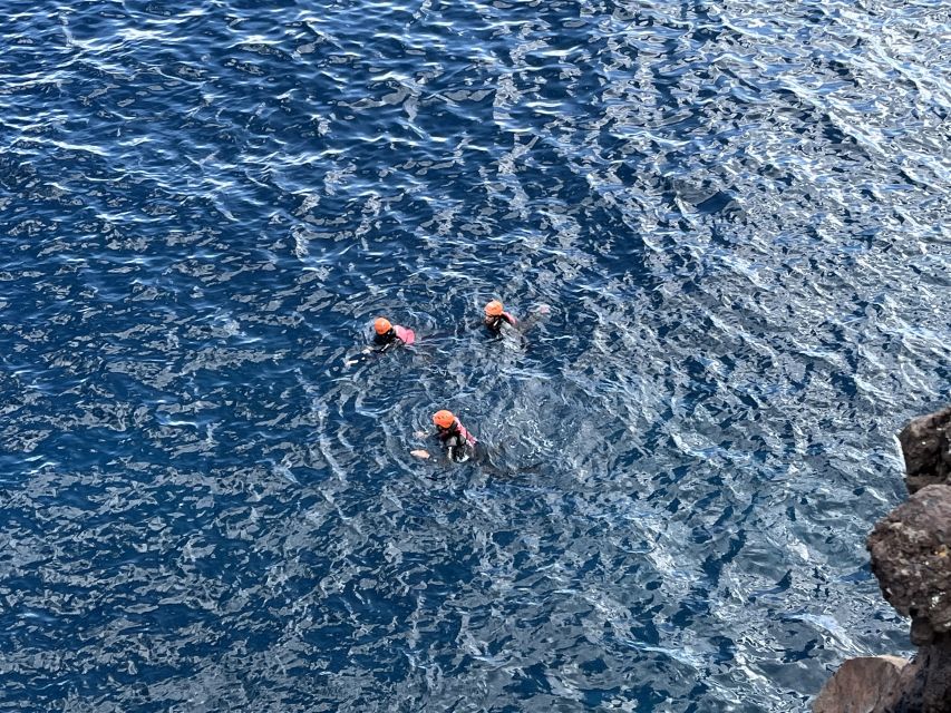Madeira: Garajau Coastal Hike and Cliff Jumping - Who this tour fits best in Madeira