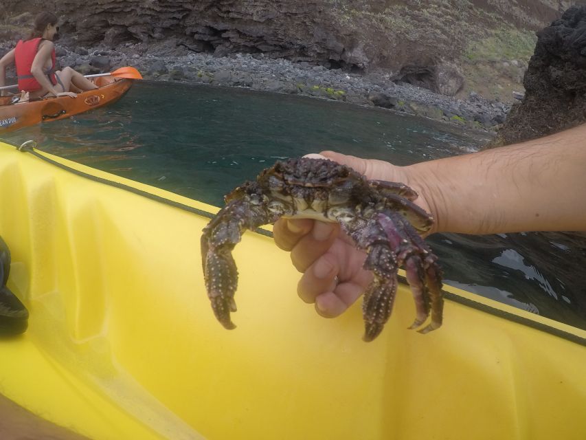 Madeira: Garajau Nature Reserve Kayak and Snorkel Tour - Safety, Coaching, and Why the Guide Repeats the Basics