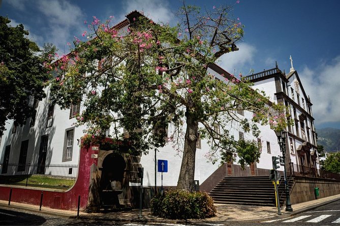 Madeira Grand Experience by Tukxi, Private Tour - Monte and Paroquia de Nossa Senhora do Monte: Gardens, Views, and the Taboggan Ride Area