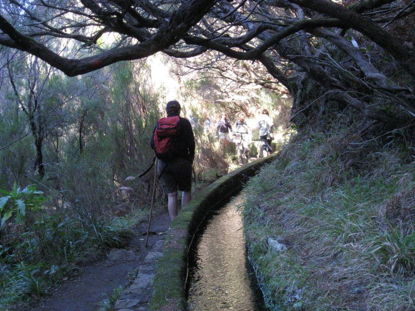 Madeira: Guided Full-Day Rabaçal Walk - What the Rabaçal walk really delivers on Madeira