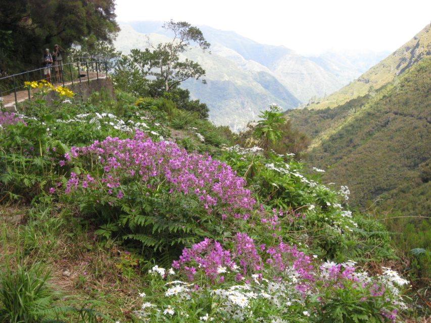 Madeira: Guided Full-Day Rabaçal Walk - The return route, plus a surprising 800-meter tunnel