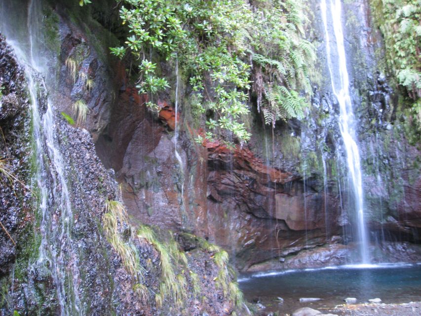 Madeira: Guided Full-Day Rabaçal Walk - Pickup, guide, and what’s included for $53