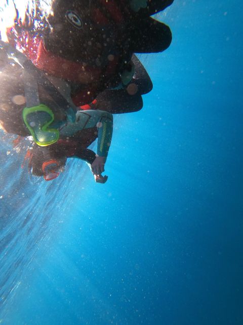 Madeira: Half-Day Coasteering Tour - Coasteering in Baia d’Abra (Caniçal): Why Madeira’s South Coast Works