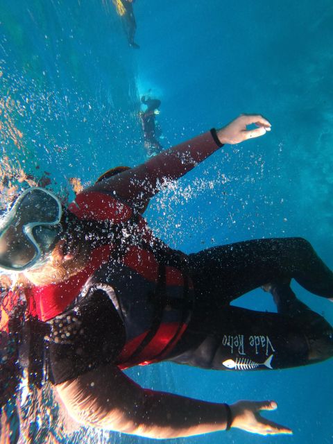 Madeira: Half-Day Coasteering Tour - Conditions, Waves, and the Day-of Reality