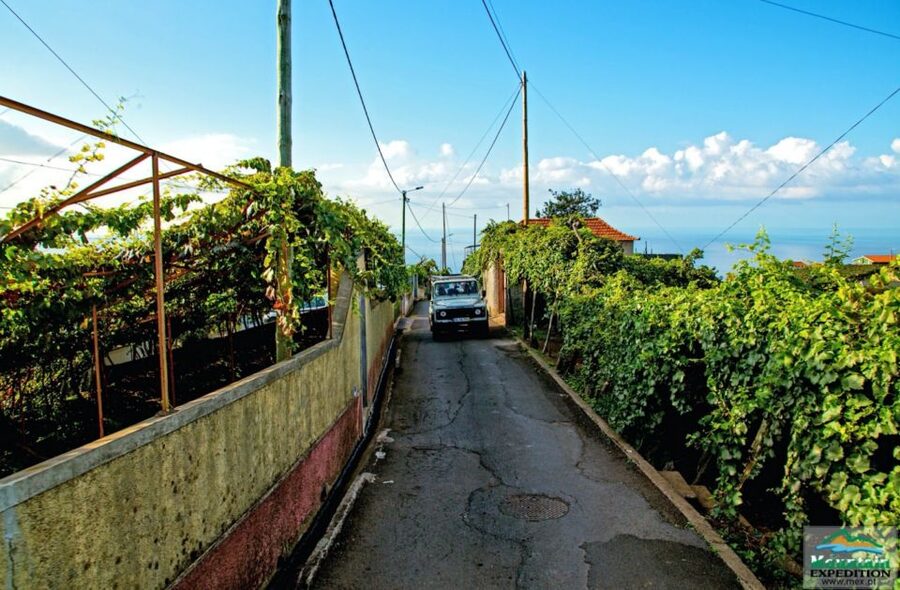 Madeira: Half-Day Nun's Valley and Sea Cliff Tour - Key highlights you should care about