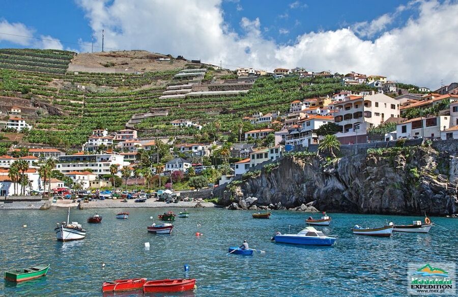 Madeira: Half-Day Nun's Valley and Sea Cliff Tour - How the guides make the difference, from Bruno to Braulio