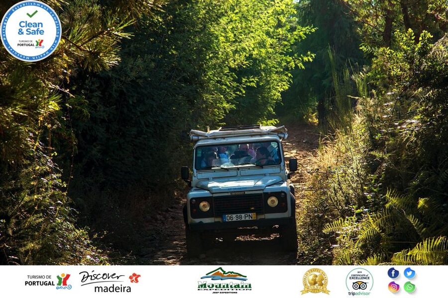 Madeira: Half-Day Nun's Valley and Sea Cliff Tour - Should you book this half-day Nun’s Valley and sea cliff tour?