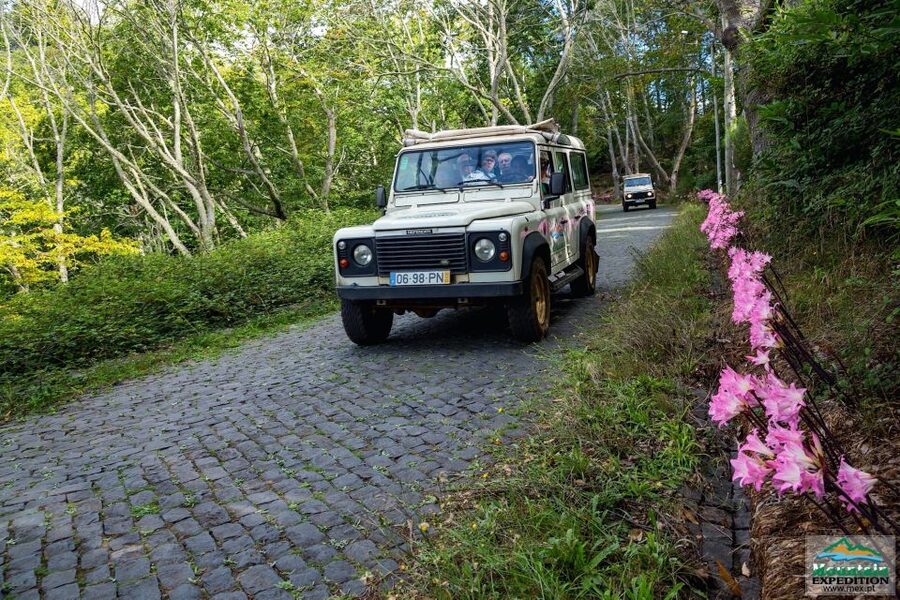 Madeira: Half-Day Nun's Valley and Sea Cliff Tour - From Funchal to the viewpoints, you’re already on Madeira’s best roads