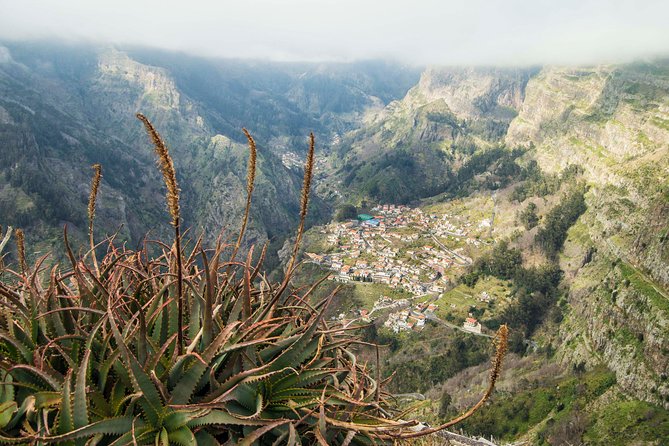 Madeira Half Day Small-Group Tour from Funchal - Curral das Freiras: a mountain valley break and local tastes