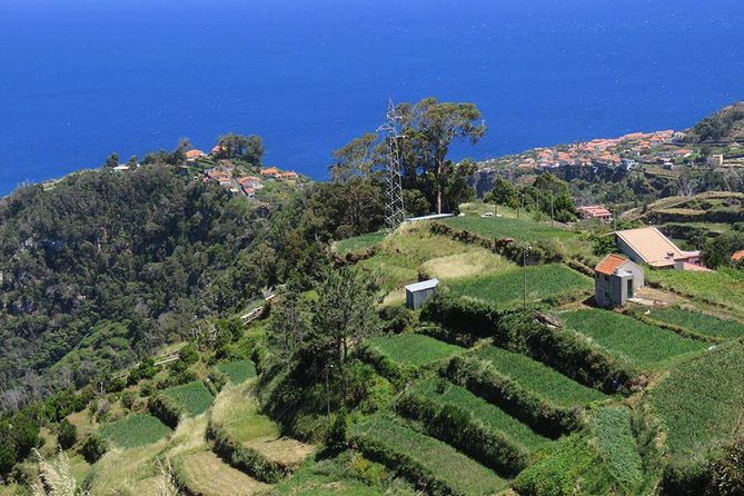 Madeira Highlights: Guided 4-Hour Tour from Funchal - The 4x4 ride itself: trails, old roads, and how to stay comfortable