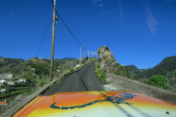 Madeira Highlights: Guided 4-Hour Tour from Funchal - Price and group size: what $337.15 per group really buys