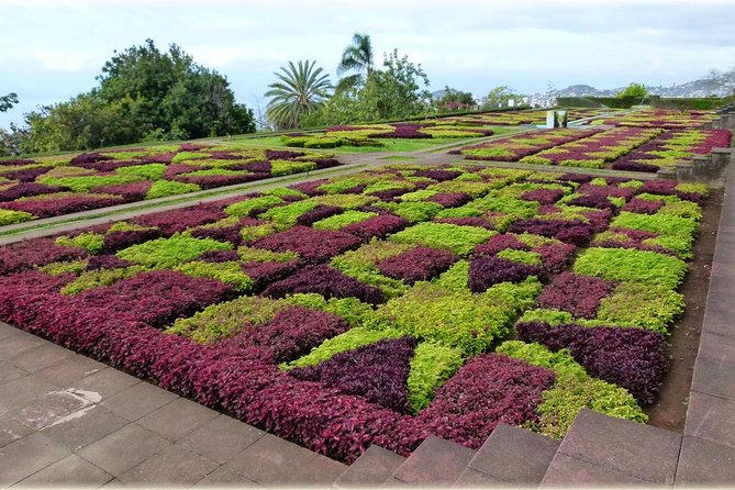 Madeira Highlights: Toboggan, Garden & Cable Car (All-Inclusive) - Price and logistics: what you really pay for