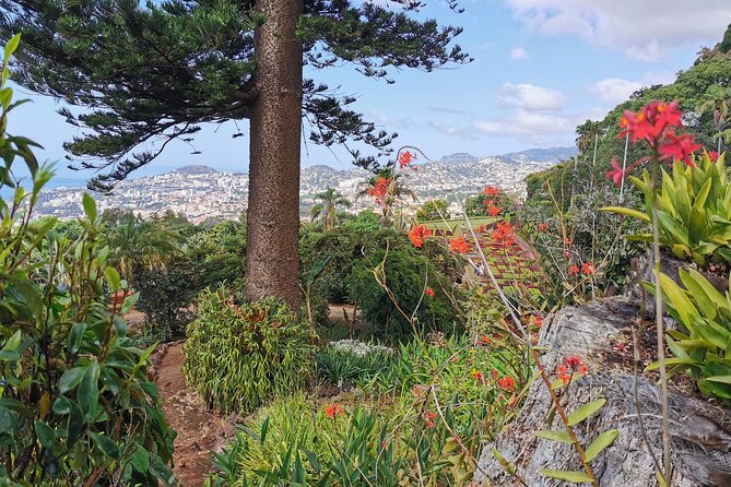 Madeira Highlights: Toboggan, Garden & Cable Car (All-Inclusive) - FAQ