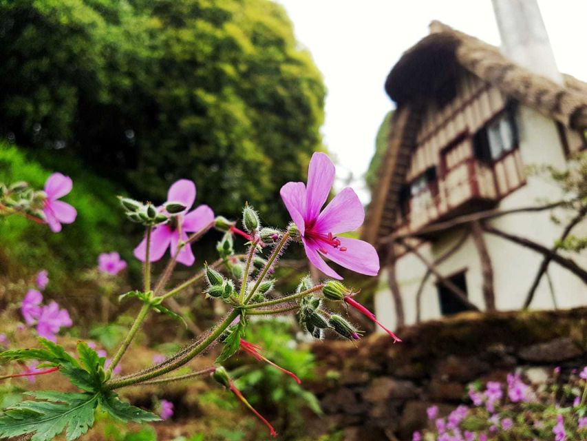 Madeira Island: Caldeirão Verde Levada Walk - Getting to Queimadas and starting in the right mood