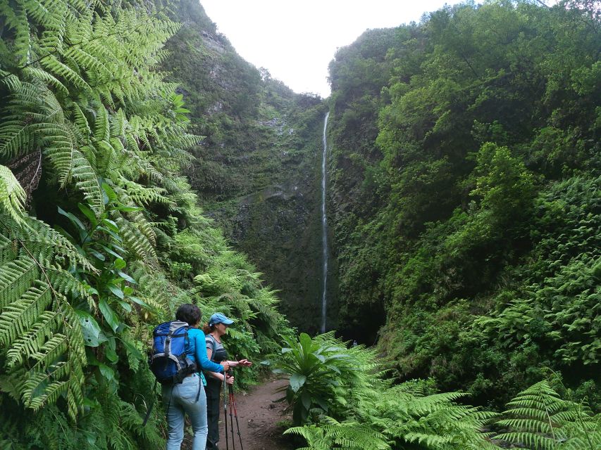Madeira Island: Caldeirão Verde Levada Walk - Walking the levada: why the irrigation channel is the star