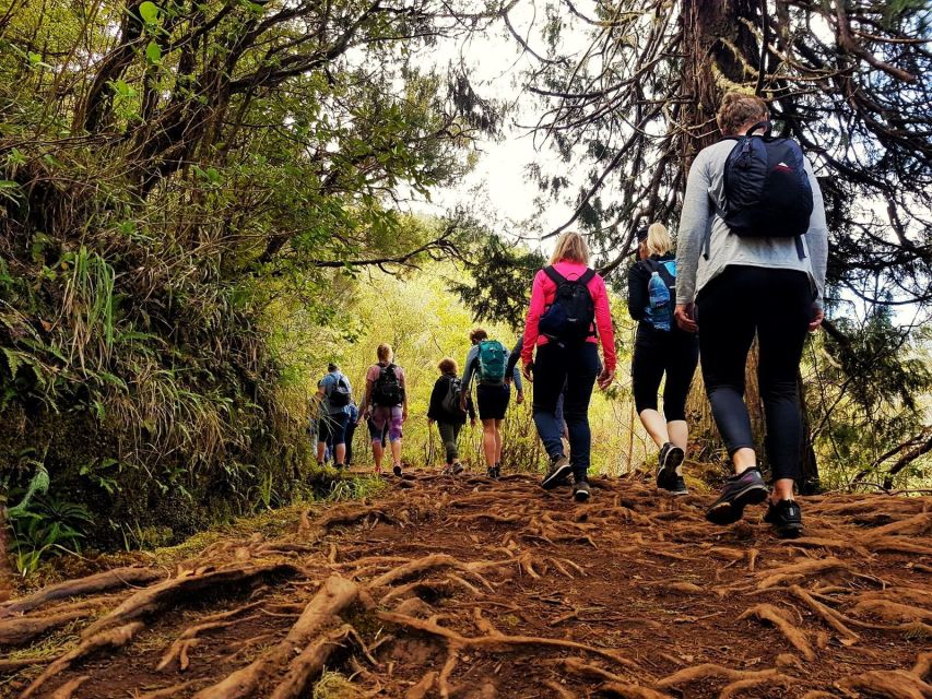 Madeira Island: Caldeirão Verde Levada Walk - The four natural tunnels and what to watch for inside