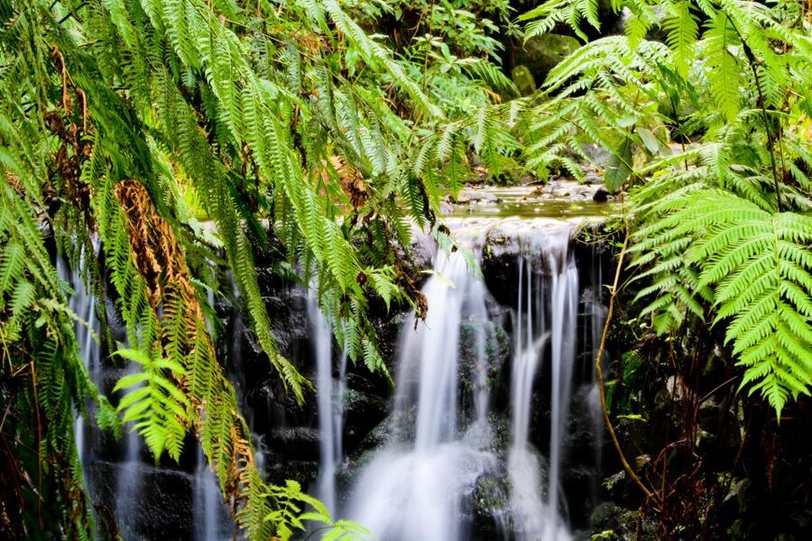 Madeira Island: Caldeirão Verde Levada Walk - Caldeirão Verde waterfall: the stop that makes the day stick