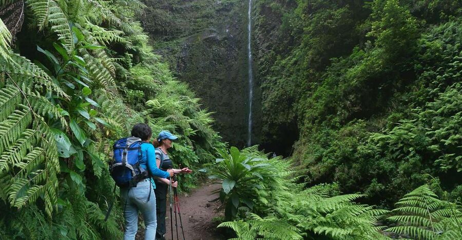 Madeira Island: Caldeirão Verde Levada Walk - Tunnels, trees, and getting the photos you want