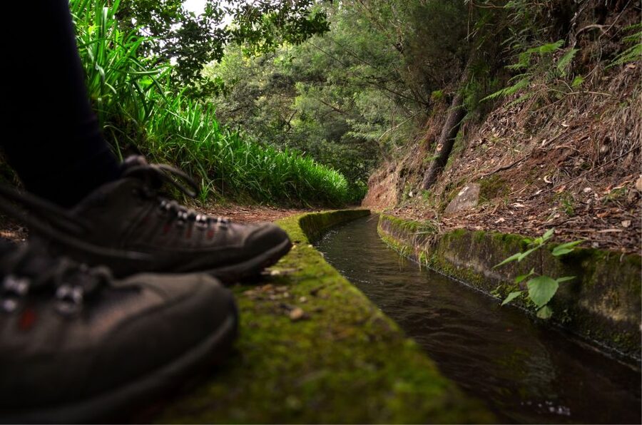 Madeira Island: Caldeirão Verde Levada Walk - Laurissilva Forest: the UNESCO setting you actually feel on foot
