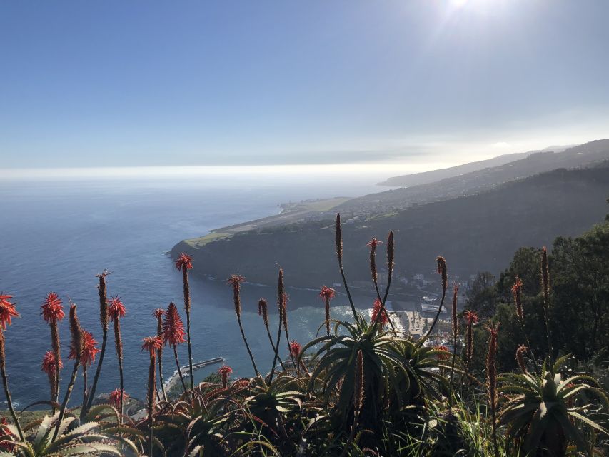 Madeira Island: Full-Day Guided Tour of Eastern Madeira - The Guides Are the Difference, and the Reviews Point to It