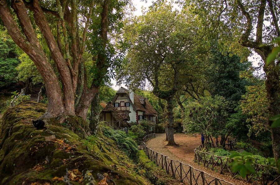 Madeira Island: Full-Day Guided Tour of Eastern Madeira - Price and Value: Why $76 Can Make Sense for East Madeira