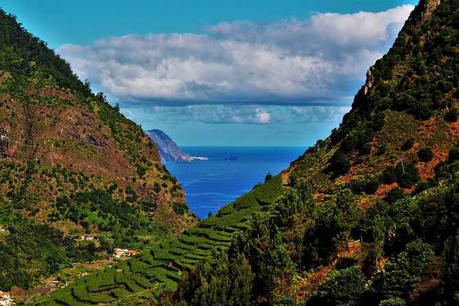 Madeira Island Private Wine Full-day Tour in all terrain vehicle - The 4x4 ride from Funchal: open-air views and two vehicle styles