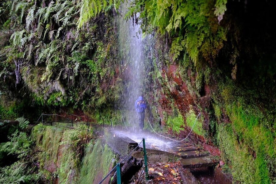 MADEIRA ISLAND WALK - HIDDEN CORNERS KINGS LEVADA - Key highlights you should know before you go