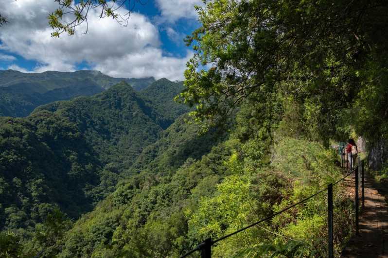 MADEIRA ISLAND WALK - HIDDEN CORNERS KINGS LEVADA - Walking through Madeira’s UNESCO Laurisilva forest