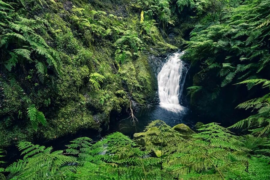 MADEIRA ISLAND WALK - HIDDEN CORNERS KINGS LEVADA - Pricing and value: is $45 a good deal?
