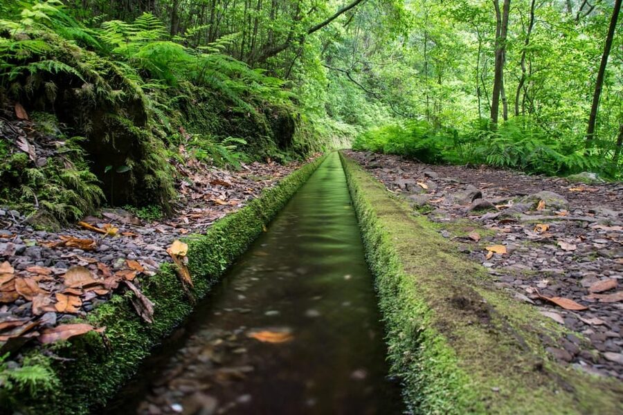 MADEIRA ISLAND WALK - HIDDEN CORNERS KINGS LEVADA - How to plan your day like a pro