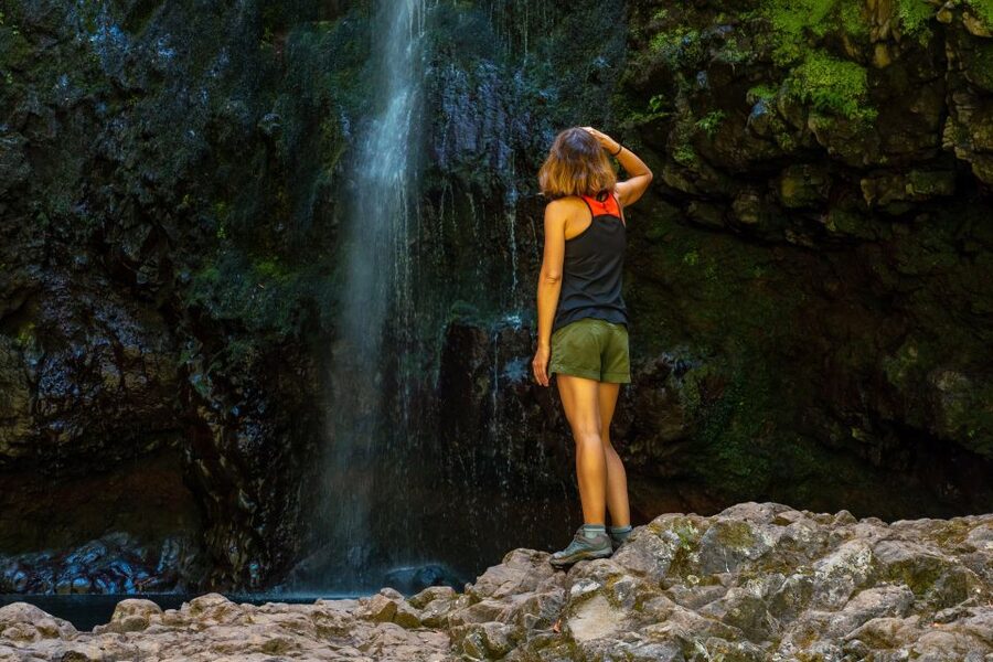 Madeira: Jungle Fever Levada Caldeirao Verde Hike Santana - Key Things You Should Know Before You Go