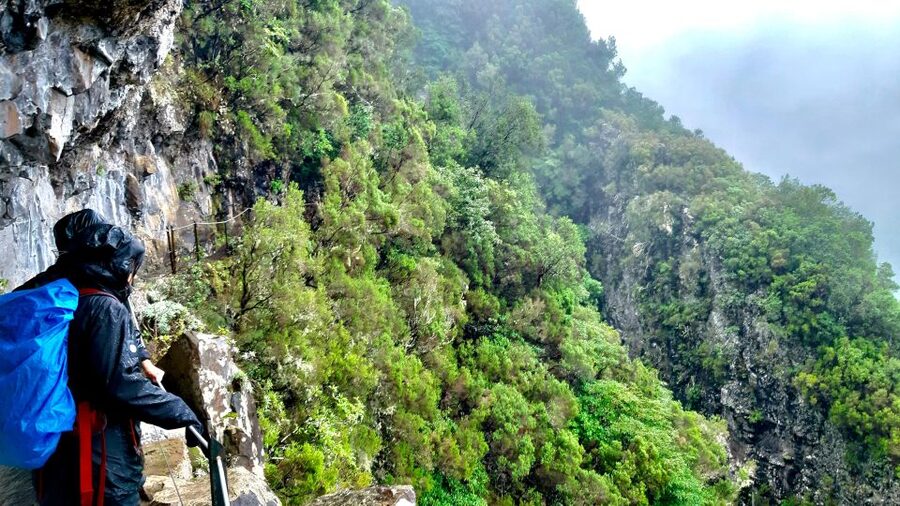Madeira: Jungle Fever Levada Caldeirao Verde Hike Santana - Picnic at Caldeirão Verde: Where the Day Clicks