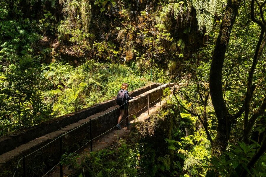 Madeira: Jungle Fever Levada Caldeirao Verde Hike Santana - Poncha Time: A Local Drink Stop That Feels Like Madeira