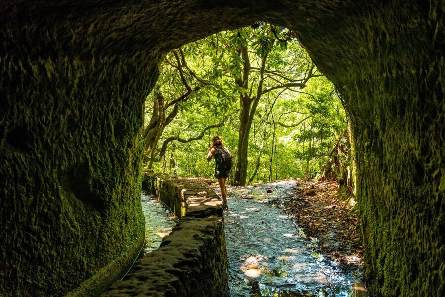 Madeira: Jungle Fever Levada Caldeirao Verde Hike Santana - Getting There: Start Options and the Electric Car Ride