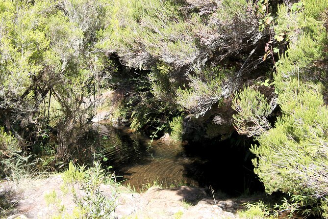 Madeira Lakes - Levada do Alecrim - Key things I’d circle before you book