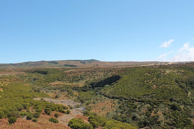 Madeira Lakes - Levada do Alecrim - Alecrim levadas, Madeira forests, and why this hike works