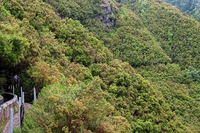 Madeira Levada Walk - Rabacal Lakes and Fountains - Key things to know before you go