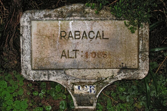 Madeira Levada Walk - Rabacal Lakes and Fountains - The tunnel moment with torches, why it’s a highlight
