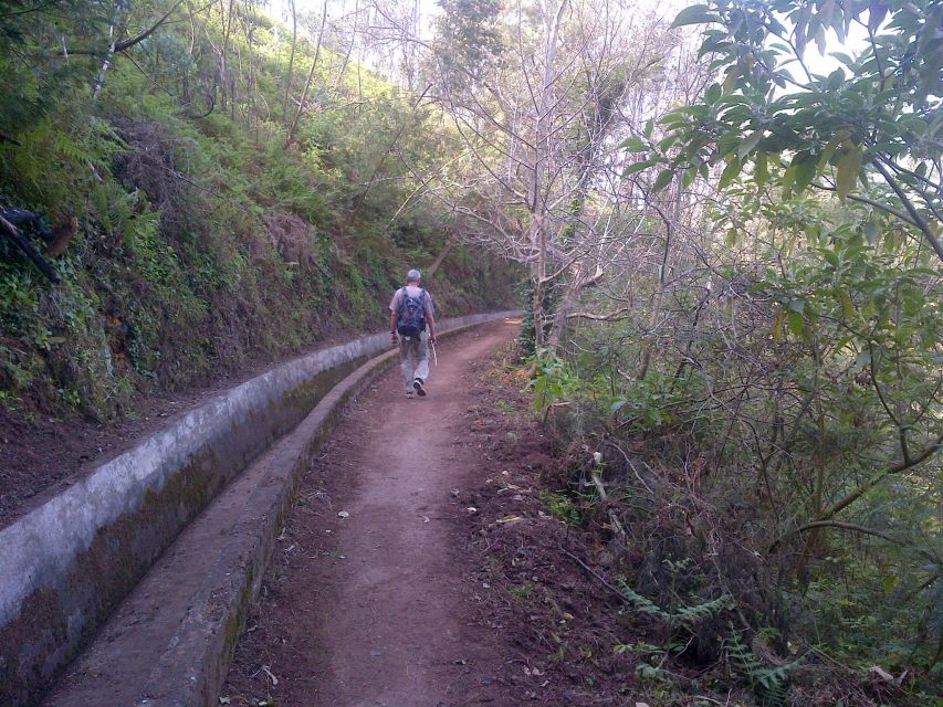 Madeira: Levado do Norte 2-Hour Hiking Tour - The scenery details that make this hike worth doing