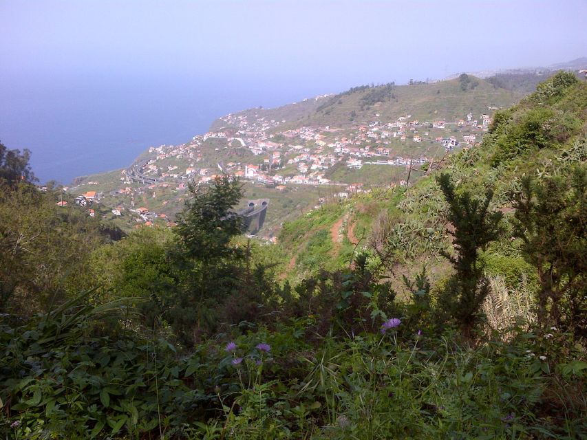Madeira: Levado do Norte 2-Hour Hiking Tour - The walking effort: 7 km, easy pace, and how to plan your timing