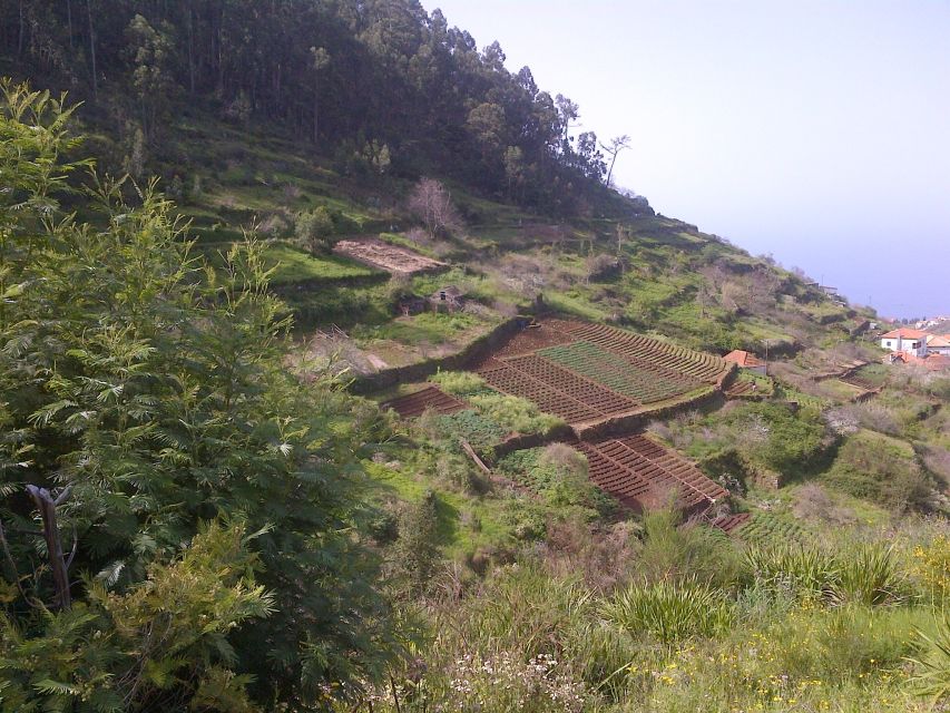 Madeira: Levado do Norte 2-Hour Hiking Tour - Starting below Cabo Girão, then walking toward Boa Morte