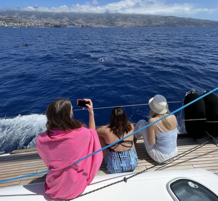 Madeira: Luxury Yacht & Sailing Sunset Tour - The cruising part: Funchal and the coast you actually want to see