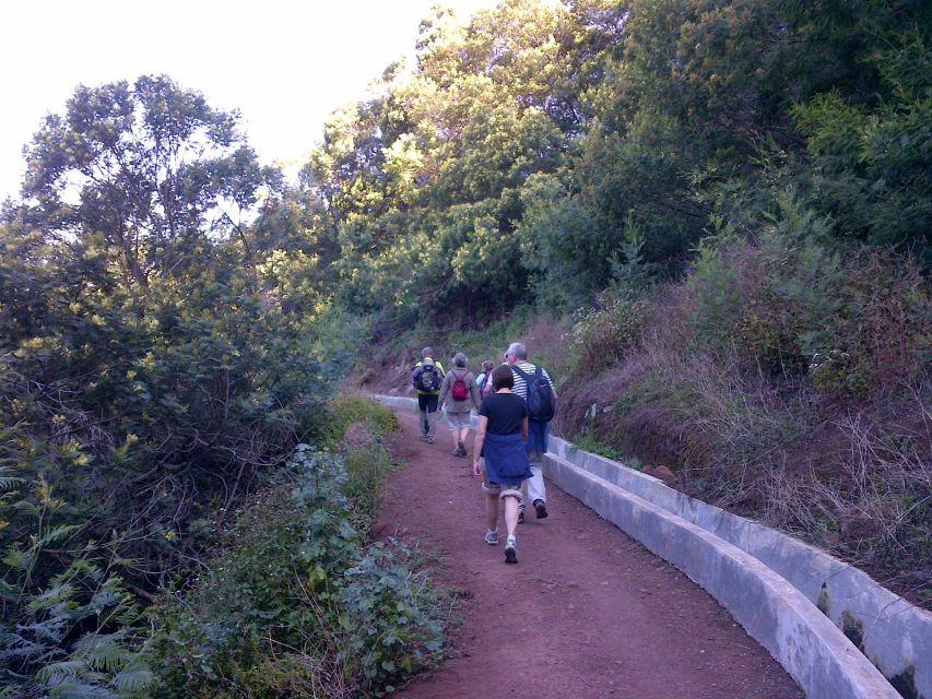 Madeira: Maroços Landscapes 2.5-Hour Guided Walk - Key highlights to look for