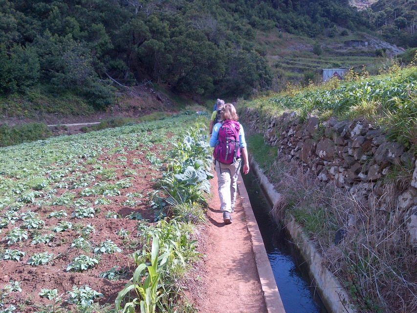Madeira: Maroços Landscapes 2.5-Hour Guided Walk - Why this Levada dos Maroços walk feels local, not staged