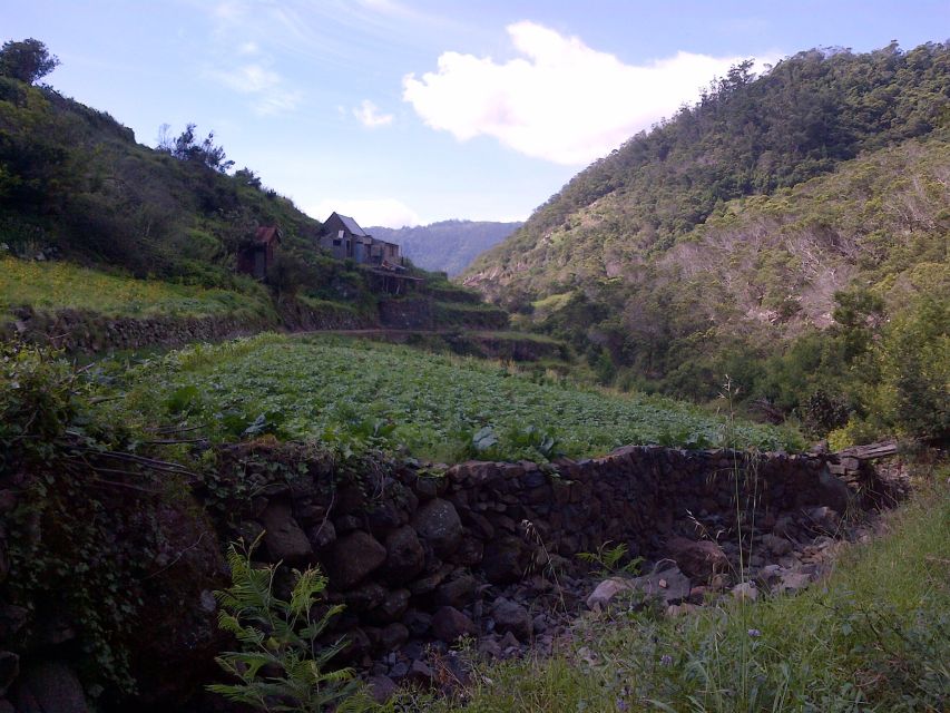 Madeira: Maroços Landscapes 2.5-Hour Guided Walk - Flowers and fruit, the best kind of souvenir